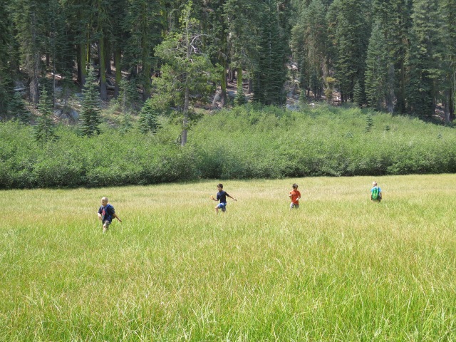 Running in the grassland