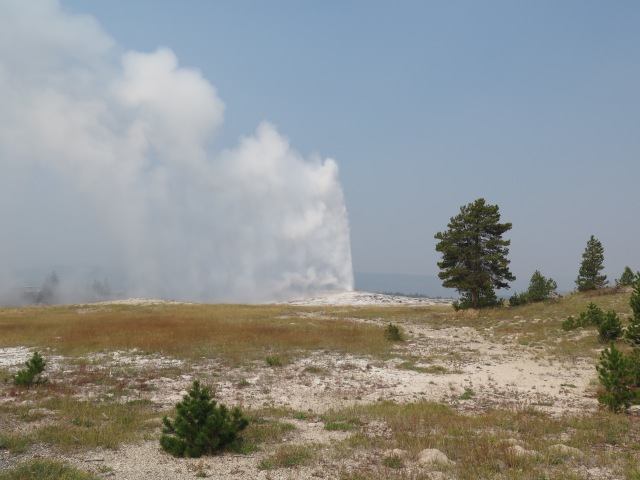 Old Faithful blowing